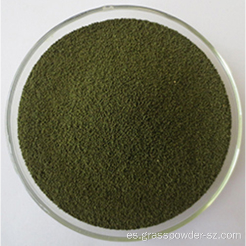 Polvo verde de jugo de trigo orgánico